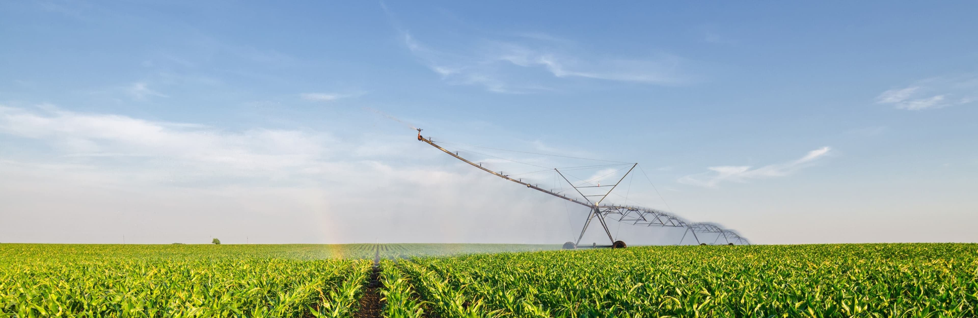 Automatización agroindustrial